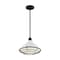 Nuvo Fixture, Pendant, 1-Light, Incandescent, 60W, 120V, A19, Medium Base 60/7024 - alternate 1